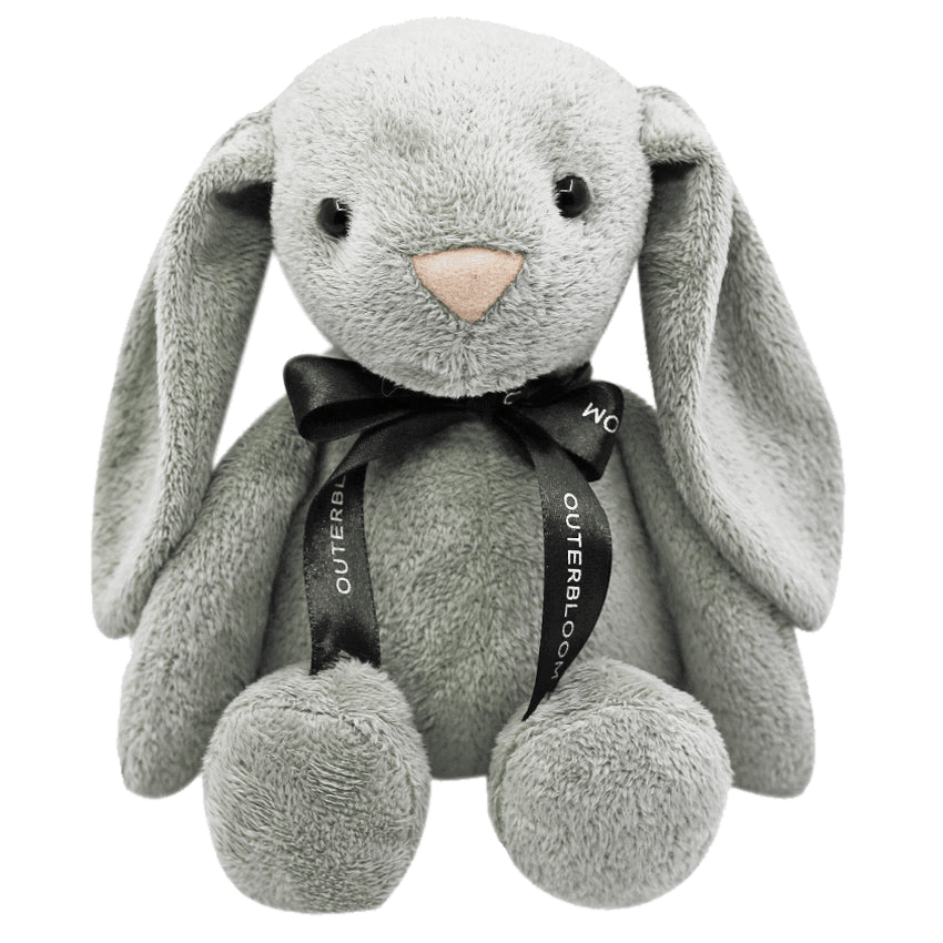 Beanie, the lost bunny plush