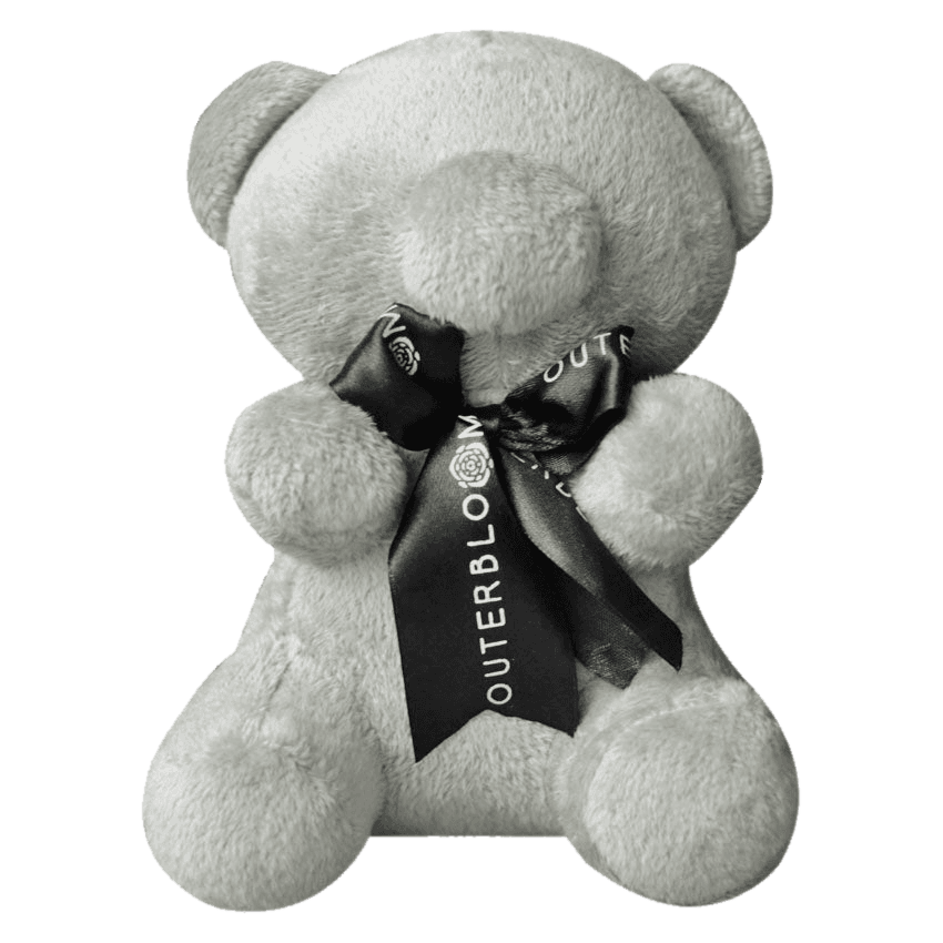Butarro, the blind bear plush